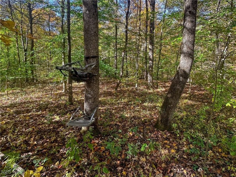 Clark Road, Cutler, OH - Photo 4
