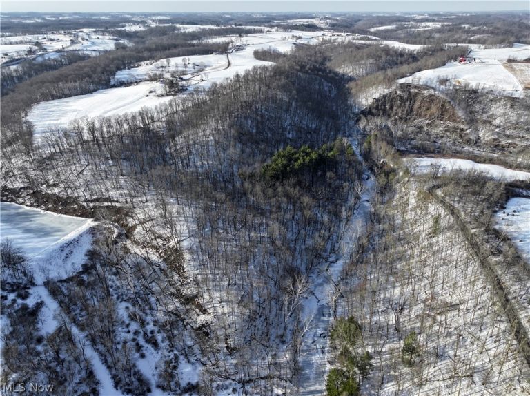 Tract 2 MORRS RIDGE Road, Woodsfield, OH - Photo 2