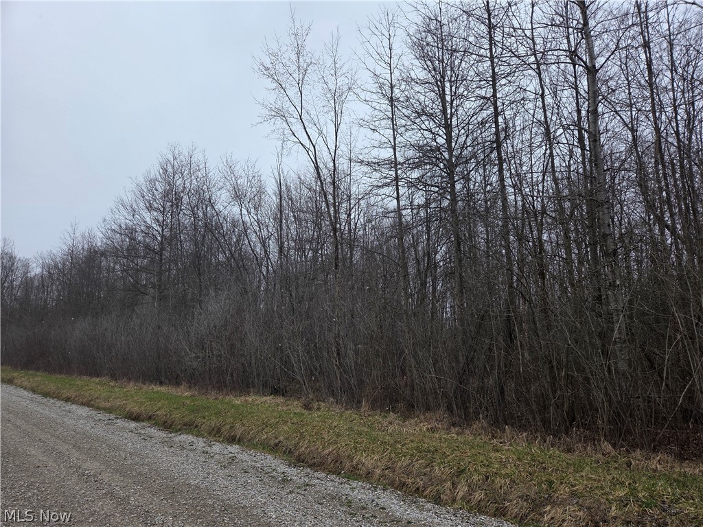 Plank Road, Orwell, OH