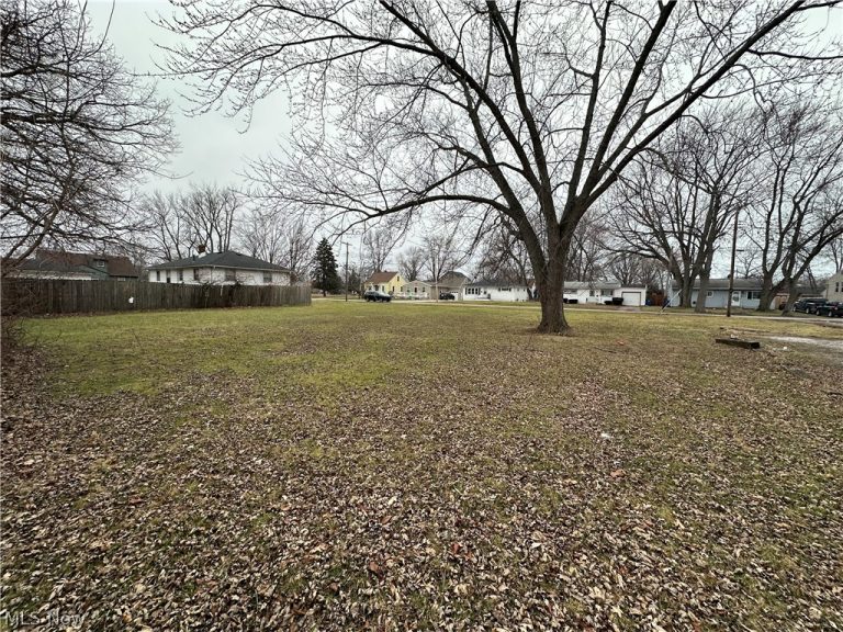 V/L Maryland Avenue, Lorain, OH - Photo 3