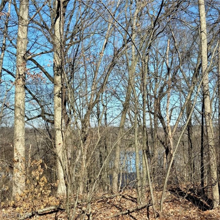 48065 Yuma Cove, Negley, OH - Photo 4