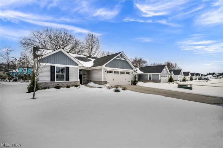 141 W Spring Drive, Elyria, OH - Photo 3