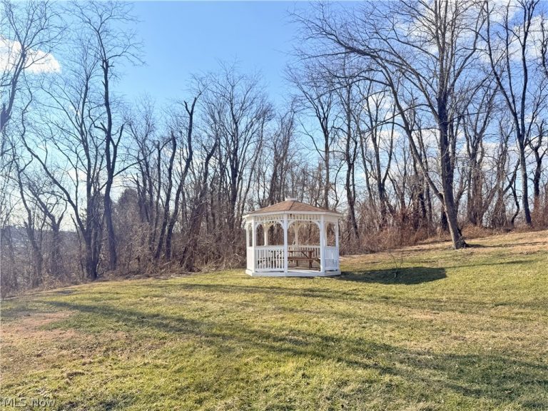 411 Petrick, Mingo Junction, OH - Photo 3