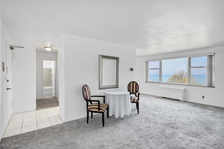 11850 Edgewater Drive #619, Lakewood, OH - Photo 4