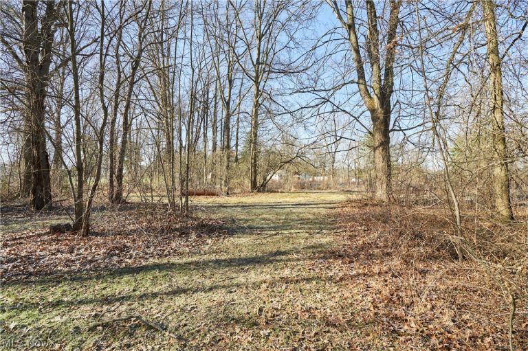 V/L 20 AC Ridgewood Road, Fairlawn, OH - Photo 2