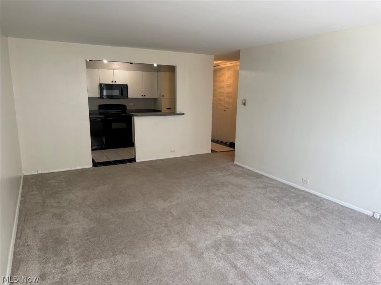 12700 Lake Avenue #504, Lakewood, OH - Photo 4