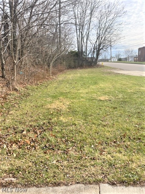 303 State Street, Barberton, OH - Photo 5