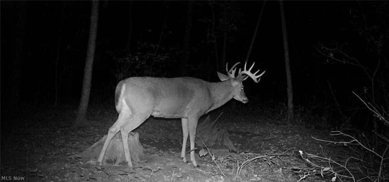 ZANE Road, Lore City, OH - Photo 6