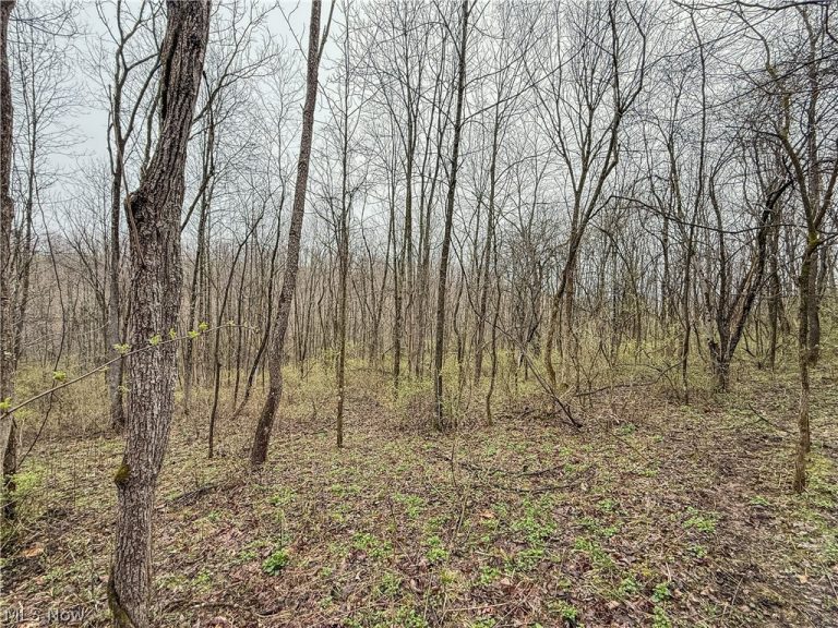Buck Hill Road, Frazeysburg, OH - Photo 6