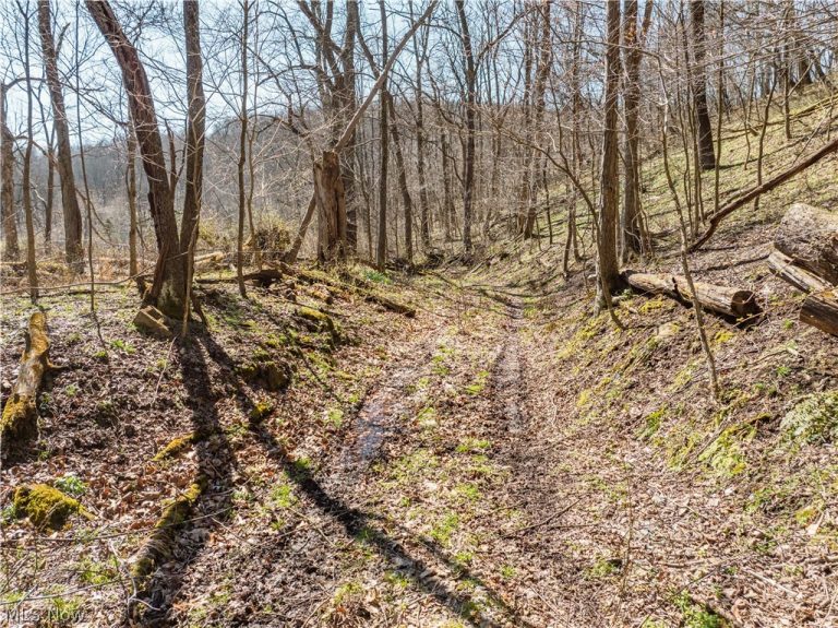 Township Road 34, Killbuck, OH - Photo 6
