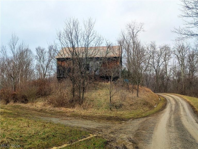 Tract 8 Barber Ridge Road, Lewisville, OH - Photo 6