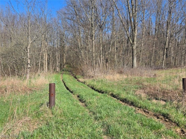 11154 Shetler Avenue, Bolivar, OH, 44612