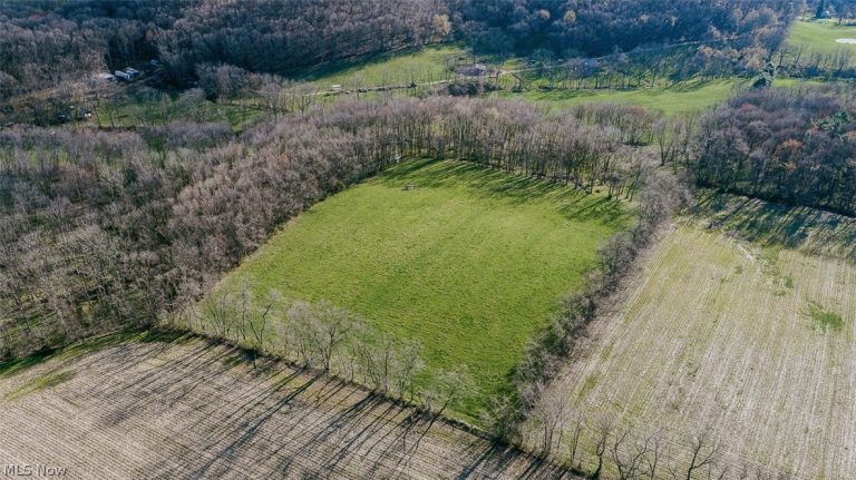 7641 Township Road 462, Loudonville, OH - Photo 8