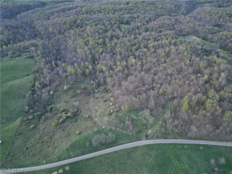 ZANE Road, Lore City, OH - Photo 5
