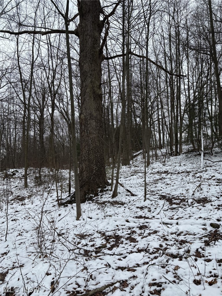 Oh-93, Dundee, OH - Photo 8