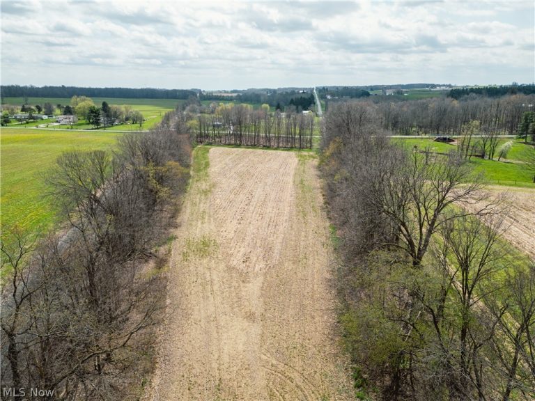 Steiner Road, Creston, OH - Photo 6