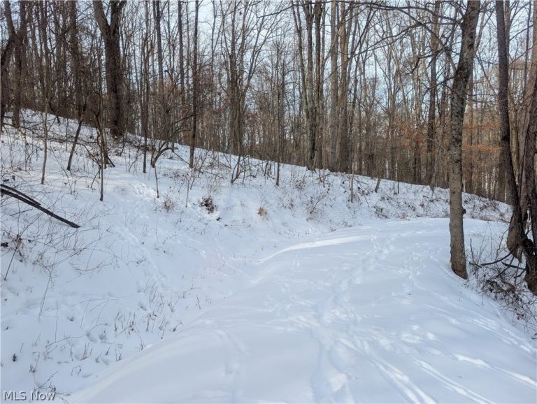 Tract 10 Kuhn Road, Lewisville, OH - Photo 5