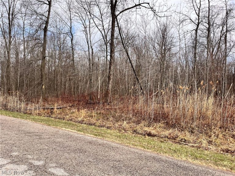 Brianna Ct. Lot 11, Ashtabula, OH - Photo 4