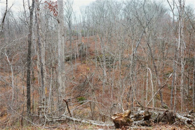 Brimstone Road, Coolville, OH - Photo 8