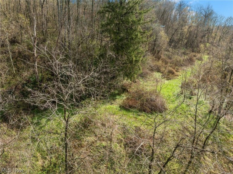 Big Way, Shadyside, OH - Photo 2