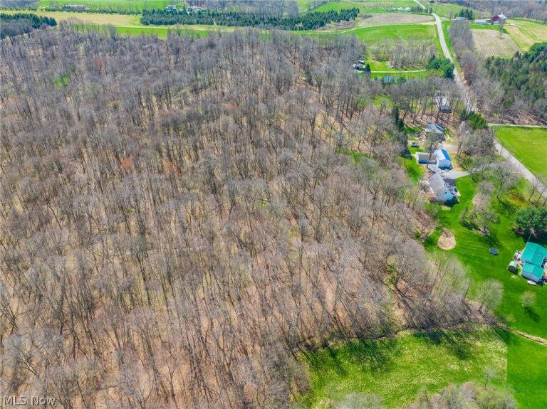 9050 Freeman Road, Lisbon, OH - Photo 8