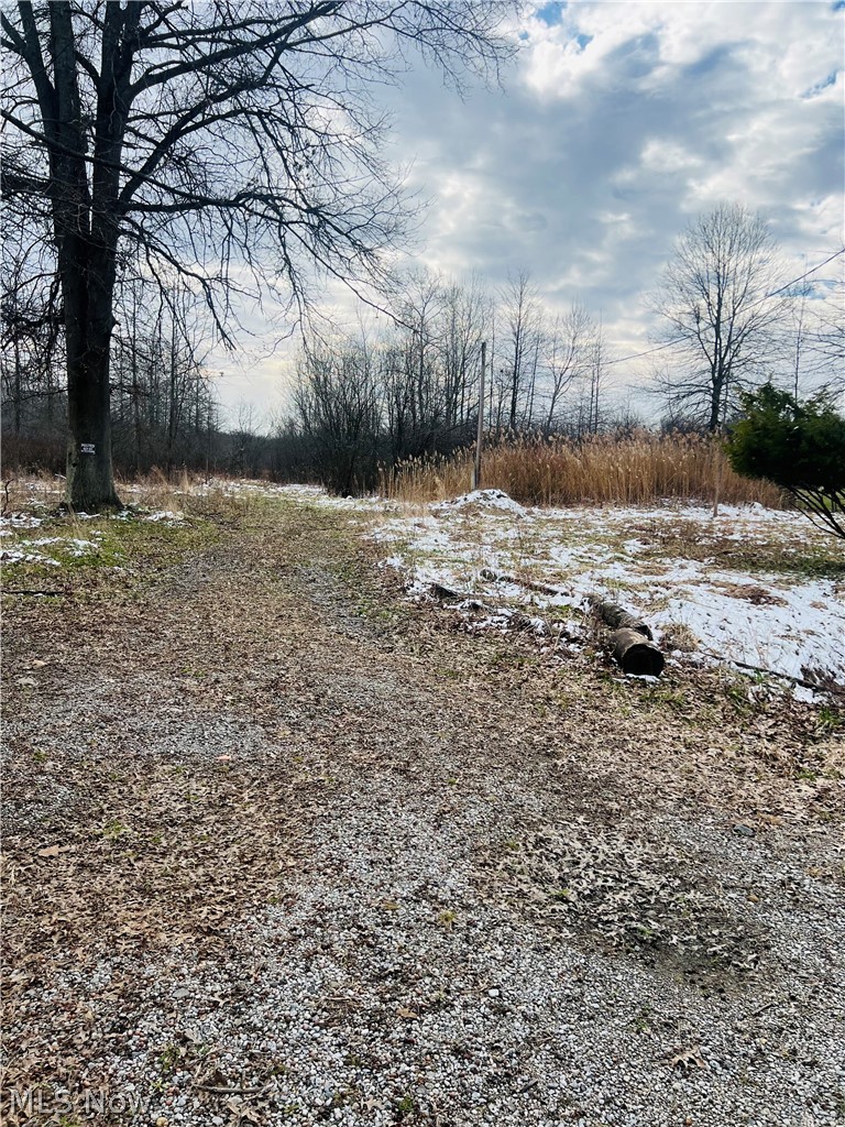 8670 Fortney Road, Orwell, OH - Photo 3