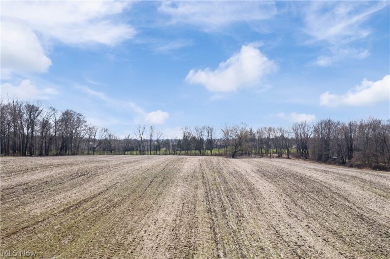 2348 Turkeyfoot Lake Road, Akron, OH - Photo 6