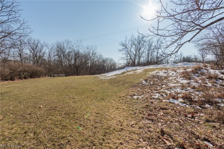 599 Berkshire Drive, Medina, OH - Photo 8