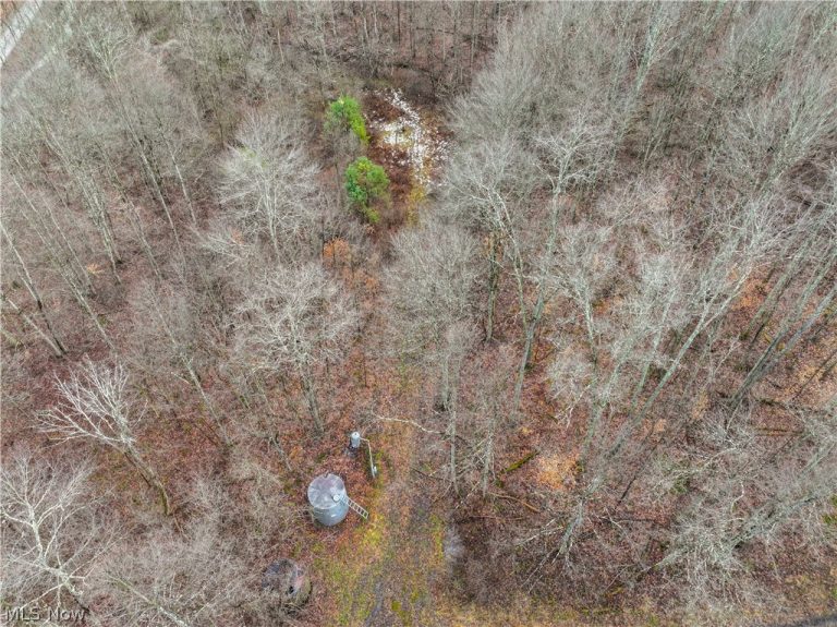 Tract 10 Kuhn Road, Lewisville, OH - Photo 2