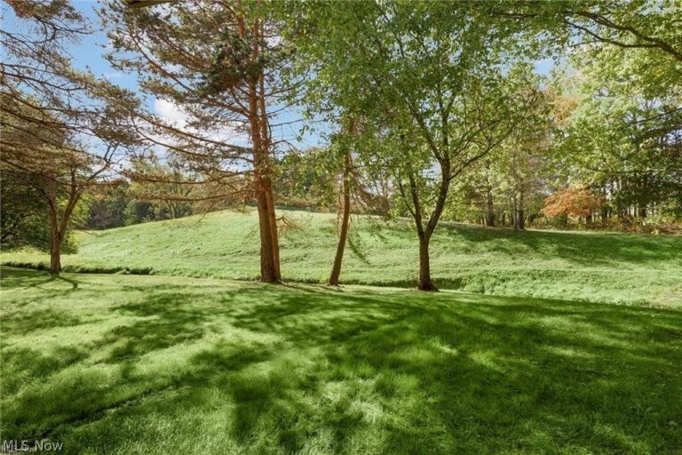 9840 Sunrise Boulevard #S27, North Royalton, OH - Photo 5