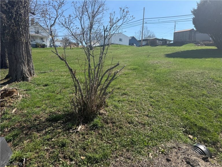 126 Oak Street, Barnesville, OH - Photo 4