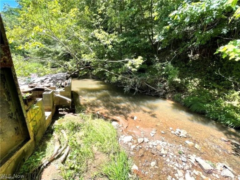 974 Slate Rd, Spencer, WV - Photo 4