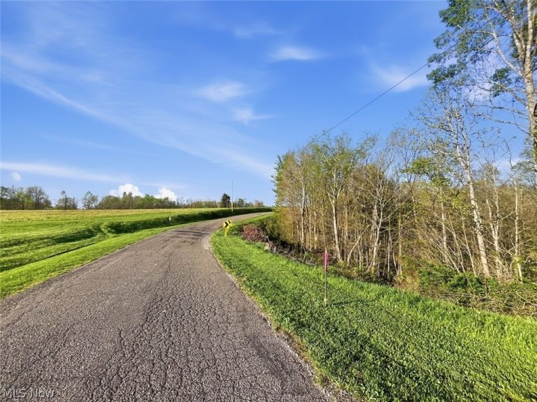 Union Hill Road, Blue Rock, OH - Photo 8