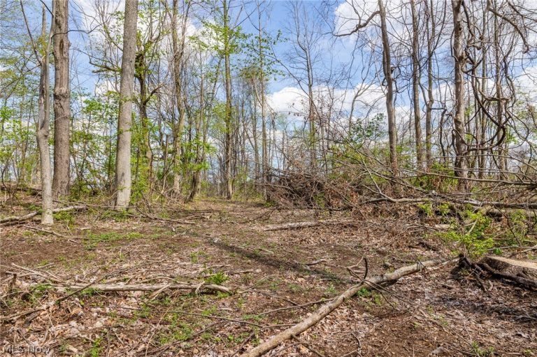 105 Hanley Road, Mansfield, OH - Photo 6