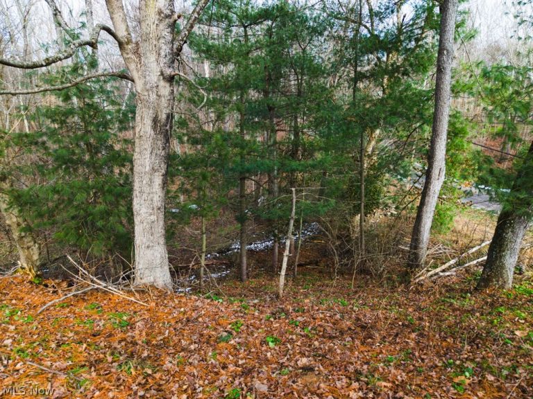 Bohl Drive, Marietta, OH - Photo 3