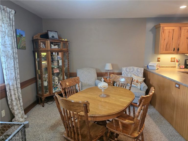 1865 Cassingham Hollow Drive, Coshocton, OH - Photo 8