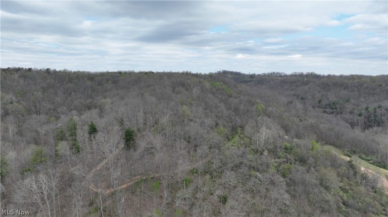 Sugar Creek Road, St Marys, WV - Photo 4
