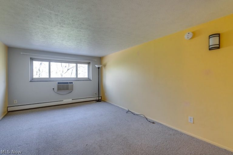 115 Rocky River Drive #303, Berea, OH - Photo 4