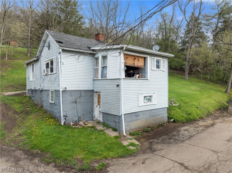 134 Coss Street, Dillonvale, OH - Photo 3