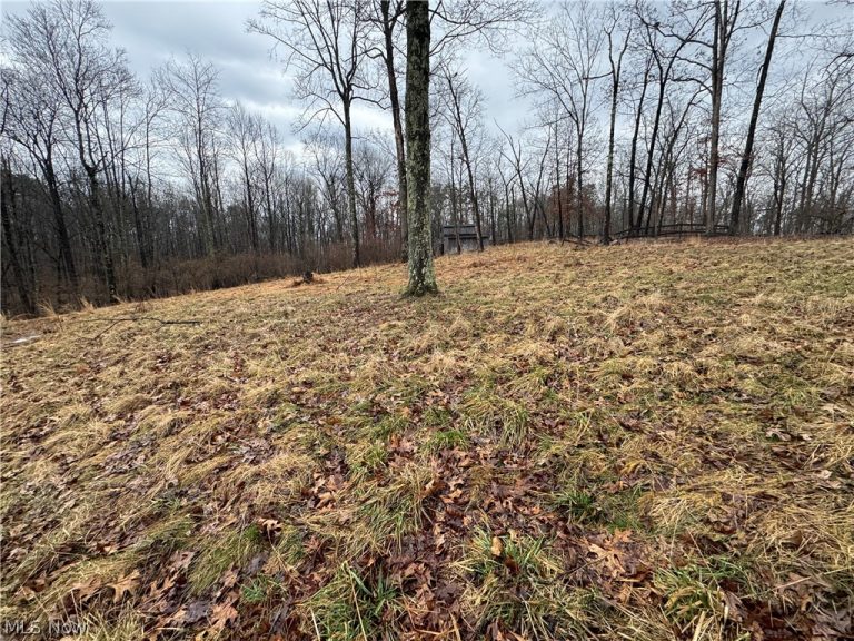 6200 Federal Road, Cutler, OH - Photo 4
