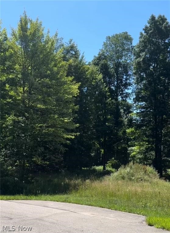 14065 Kimpton Trail, Hiram, OH - Photo 4