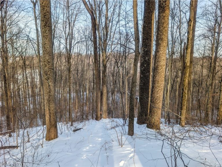 Tract 10 Kuhn Road, Lewisville, OH - Photo 4