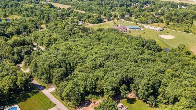 31 Colony Drive, Alliance, OH - Photo 4