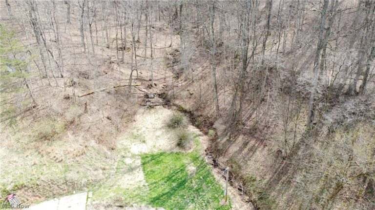 39460 Opossum Creek Road, Sardis, OH - Photo 8