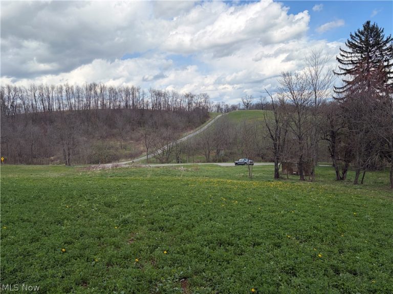 Township Road 177, Baltic, OH - Photo 4