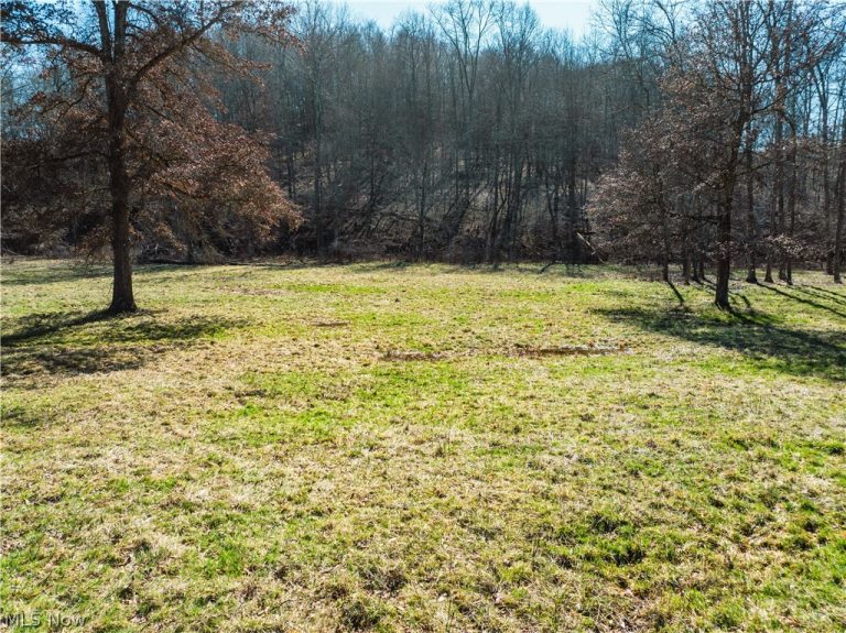 Eckley Road, Jewett, OH - Photo 2
