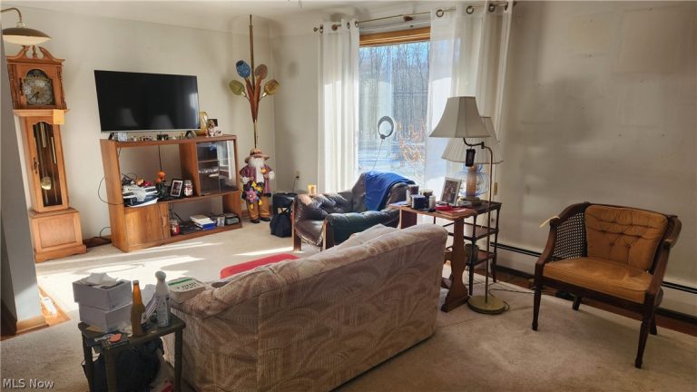 14162 Watt Road, Novelty, OH - Photo 8