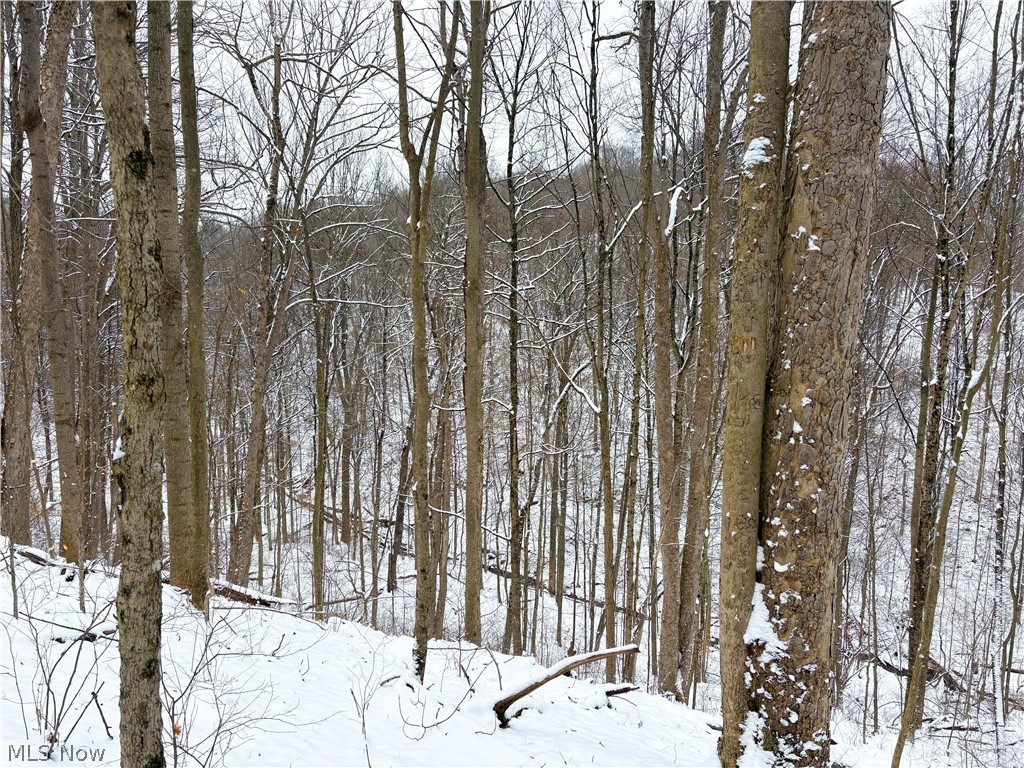Tract 2 MORRS RIDGE Road, Woodsfield, OH