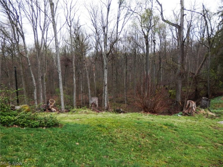 10200 Mayfield Road, Chesterland, OH - Photo 6