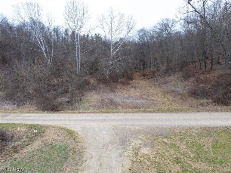 Sarchets Run Road, Cambridge, OH, 43725